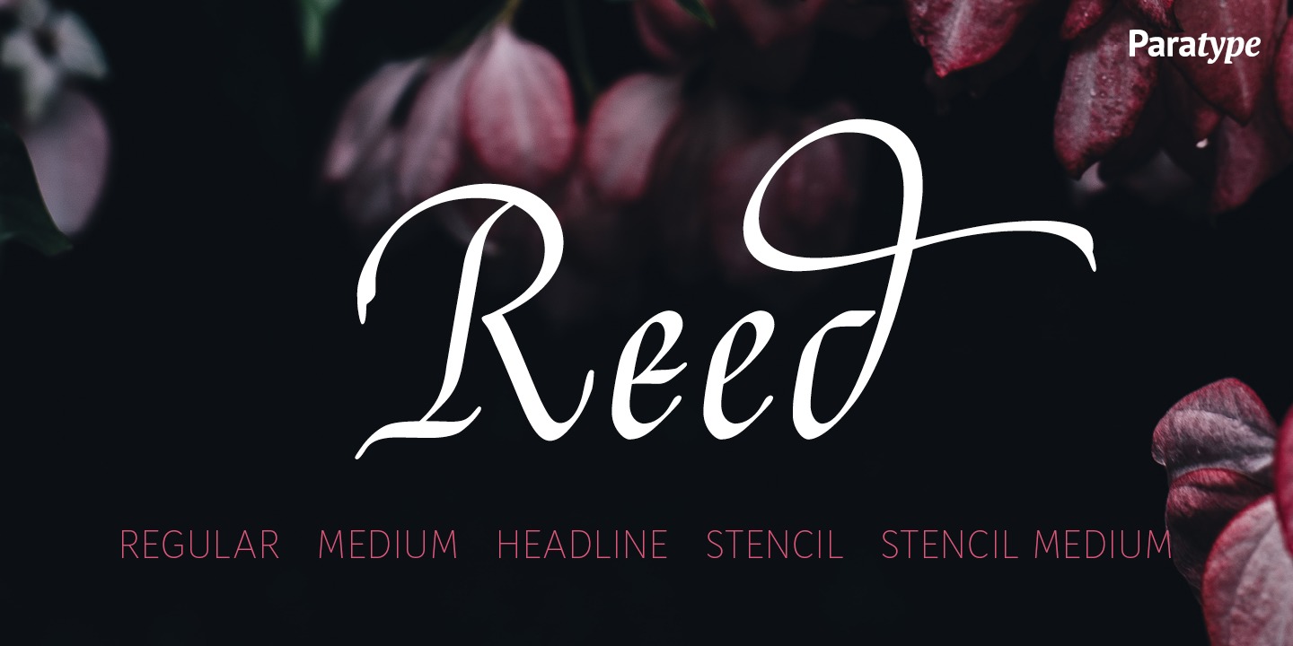 Пример шрифта Reed #1